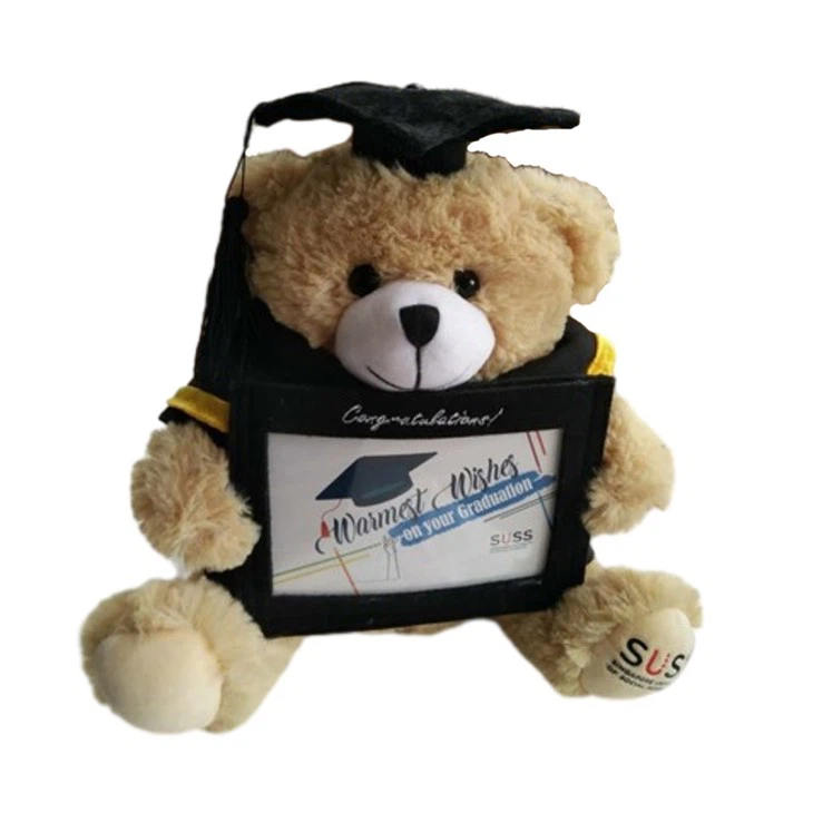 Graduation Teddy Bear price